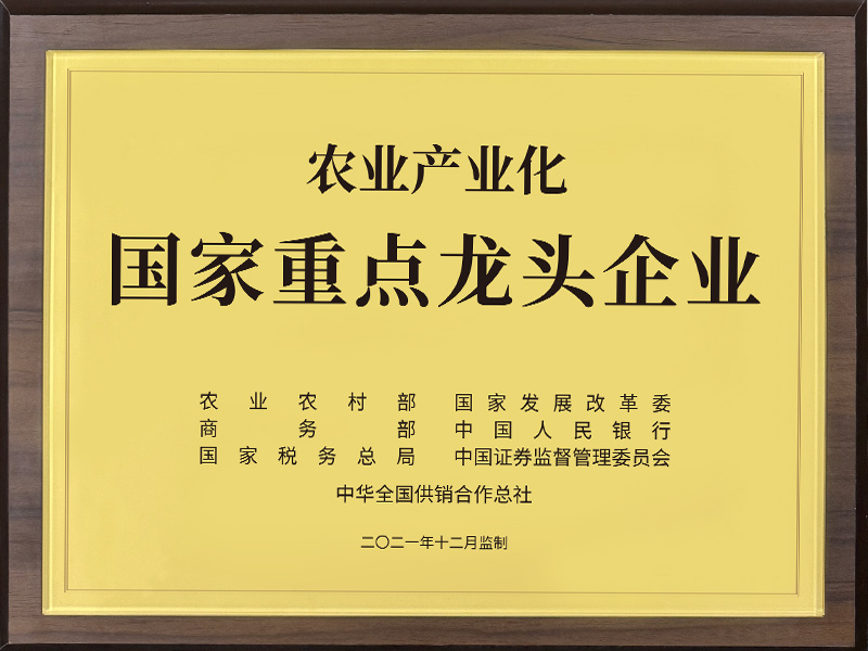 國家重點龍頭企業(yè)2021年